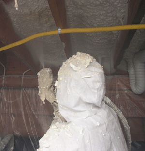 Virginia Beach VA crawl space insulation